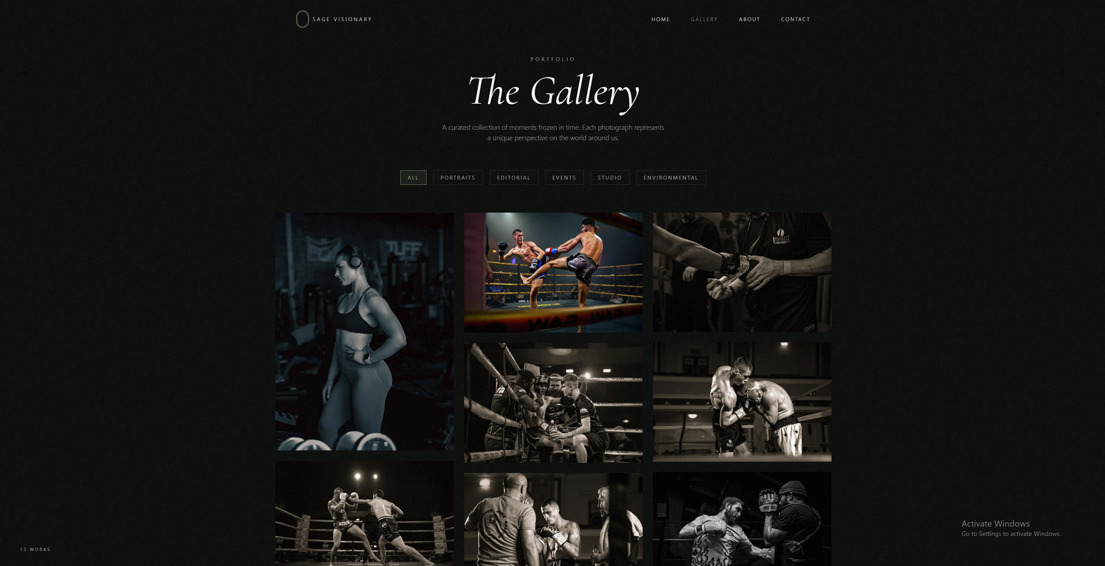 Sage Visionary gallery page.